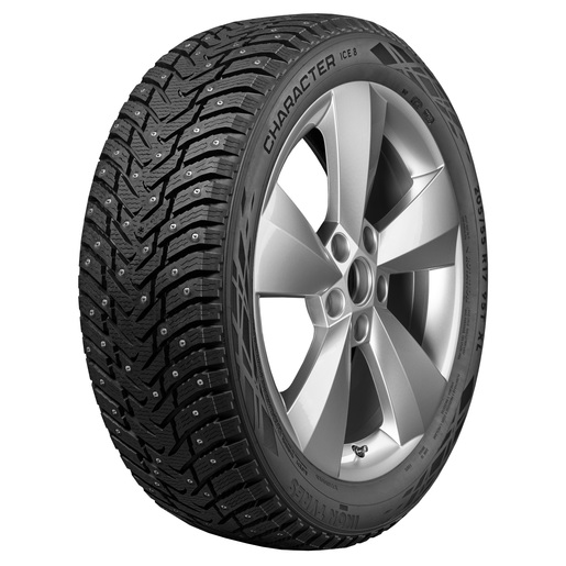 IkonCharacterIce8-primary-515Wx515H